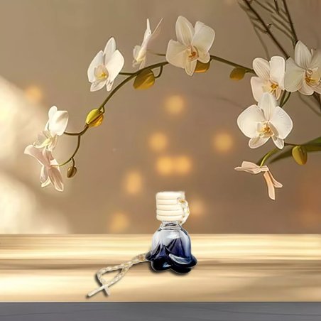 Diffuseur Voiture Diffuseur Voiture