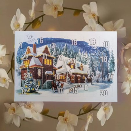 Calendrier de l'avant (précommande) Calendrier de l'avant (précommande)