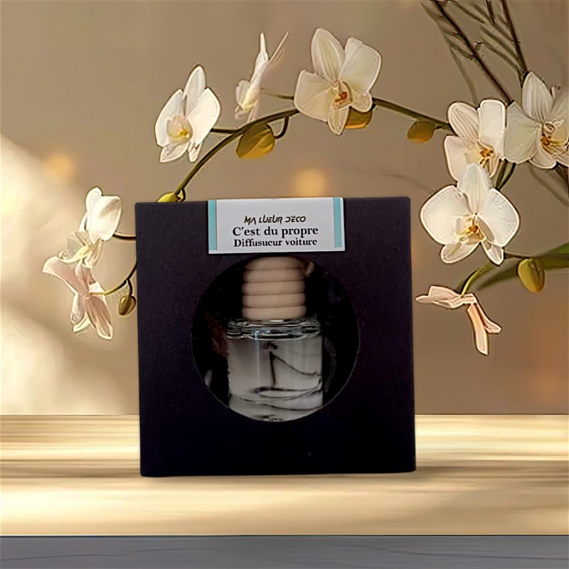 Diffuseur Voiture Diffuseur Voiture