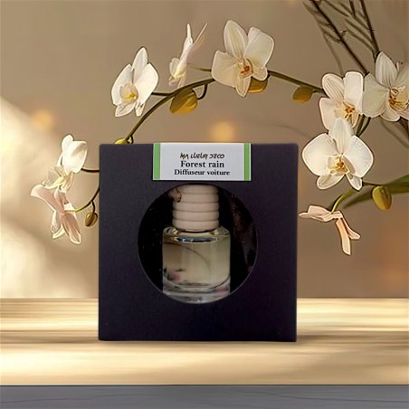 Diffuseur Voiture Diffuseur Voiture