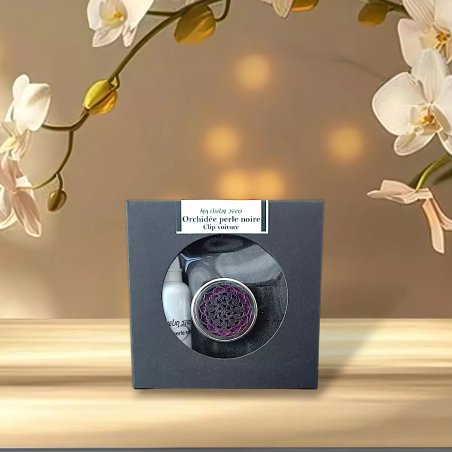 Clip voiture et recharge (promo) Clip voiture et recharge (promo)