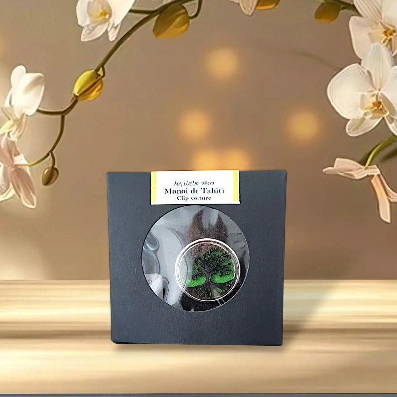 Clip voiture et recharge (promo)