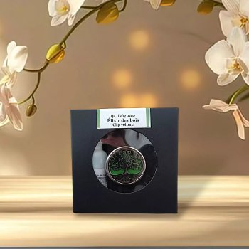 Clip voiture et recharge (promo)