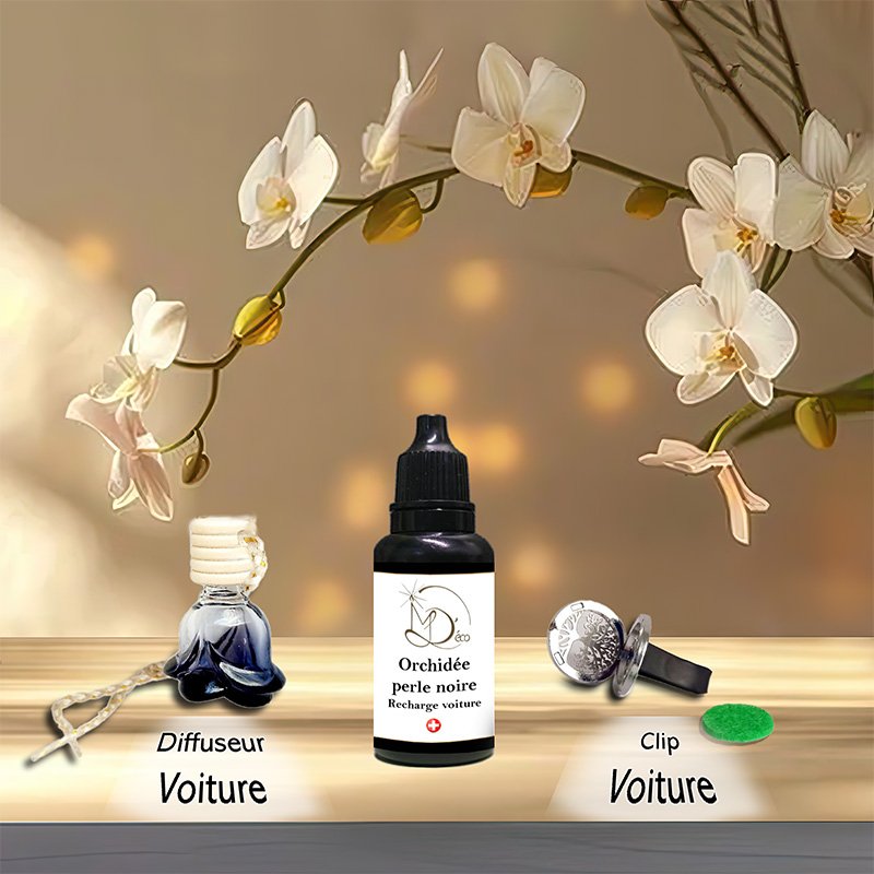 Recharge clip et diffuseur voiture (promo)