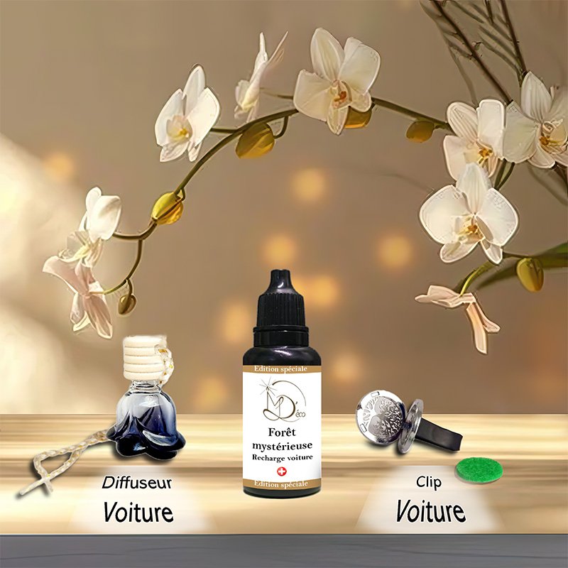 Recharge clip et diffuseur voiture (promo)