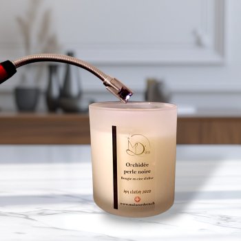 Briquet électrique rechargeable