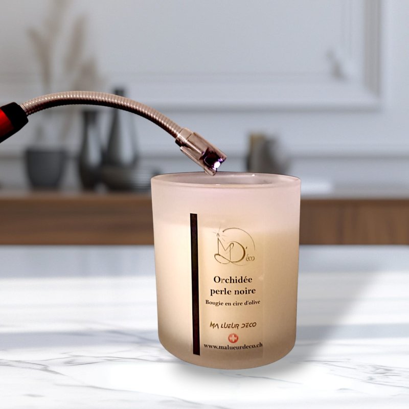 Briquet électrique rechargeable