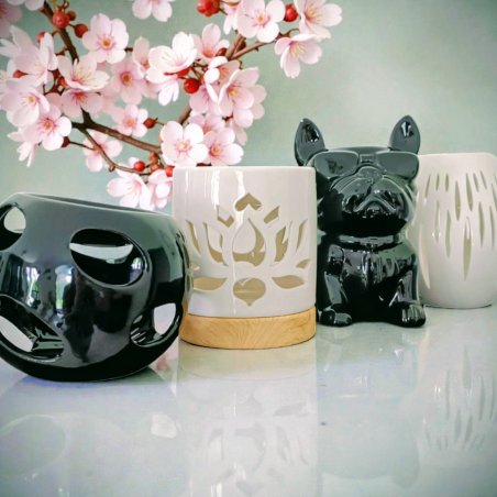 Brûleur en céramique