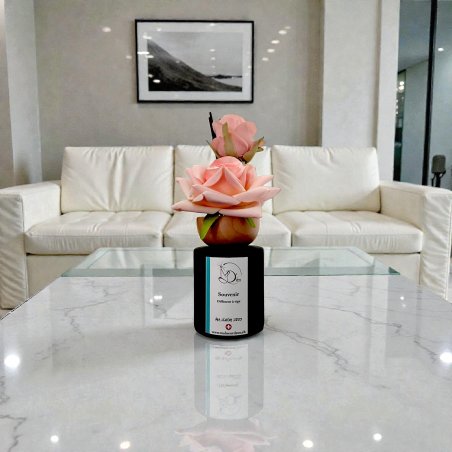 Diffuseur à tige Diffuseur à tige