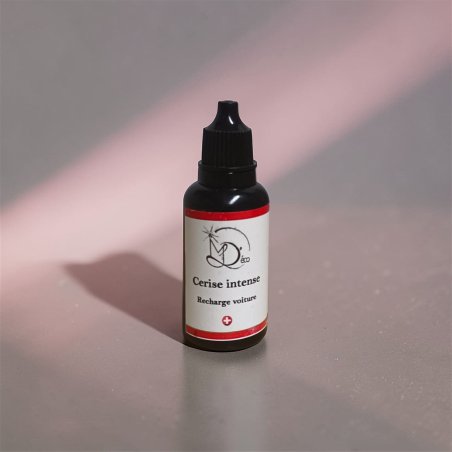 Recharge clip & diffuseur voiture PROMO