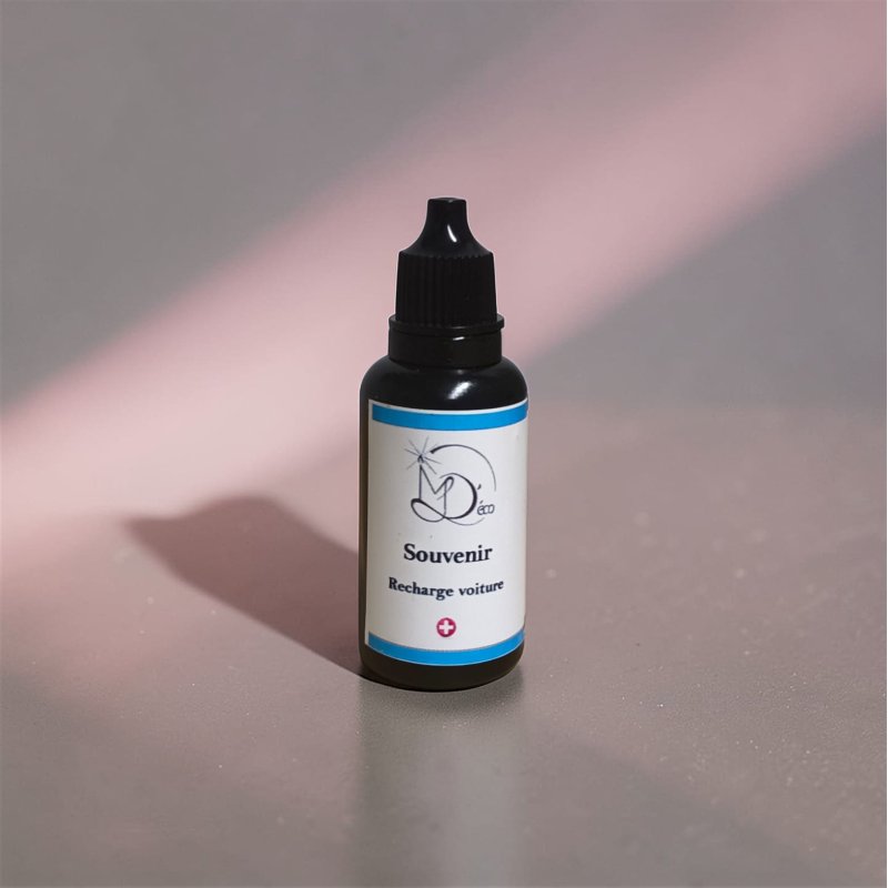 Recharge clip & diffuseur voiture PROMO