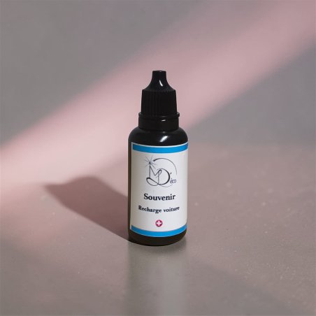 Recharge clip & diffuseur voiture PROMO