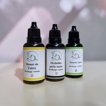 Recharge clip & diffuseur voiture PROMO