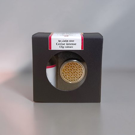 Clip voiture et recharge