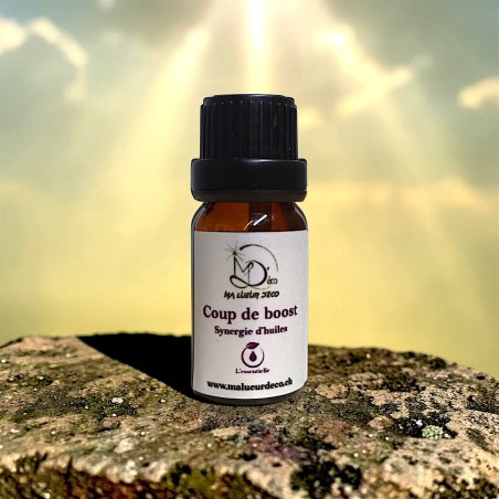 Synergie 100% huiles essentielles