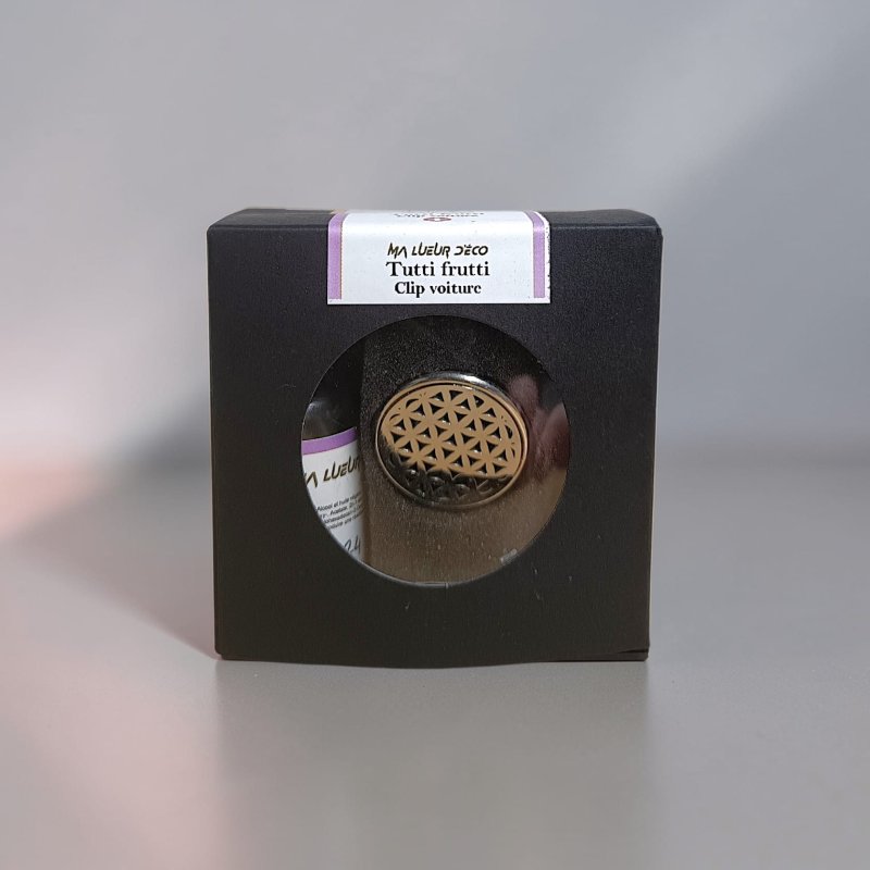 Clip voiture et recharge (PROMO)