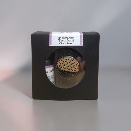 Clip voiture et recharge (PROMO)