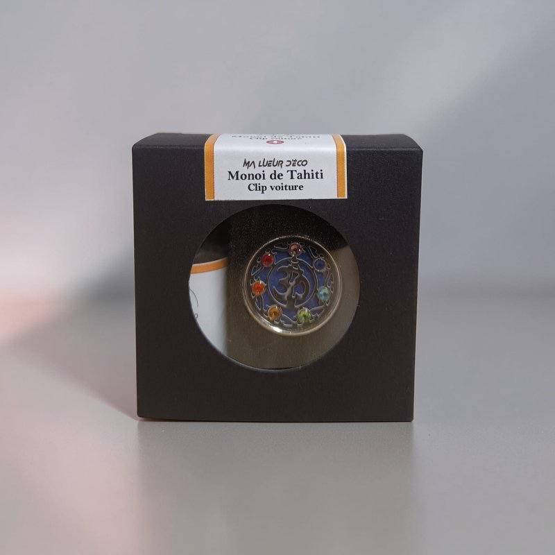 Clip voiture et recharge (PROMO)