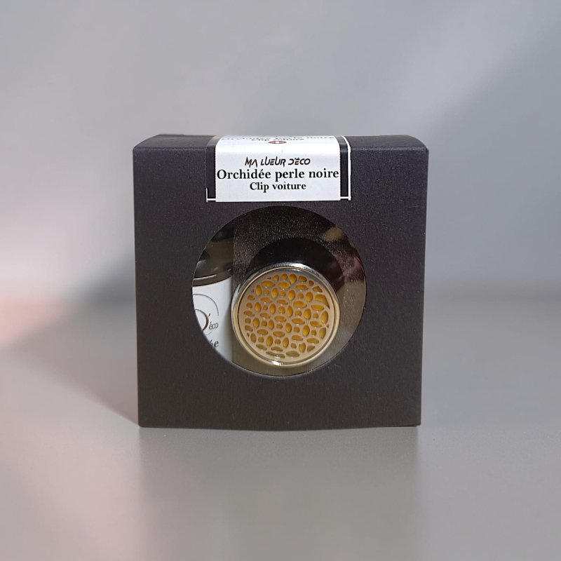 Clip voiture et recharge (PROMO)