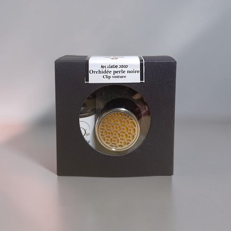 Clip voiture et recharge (PROMO)