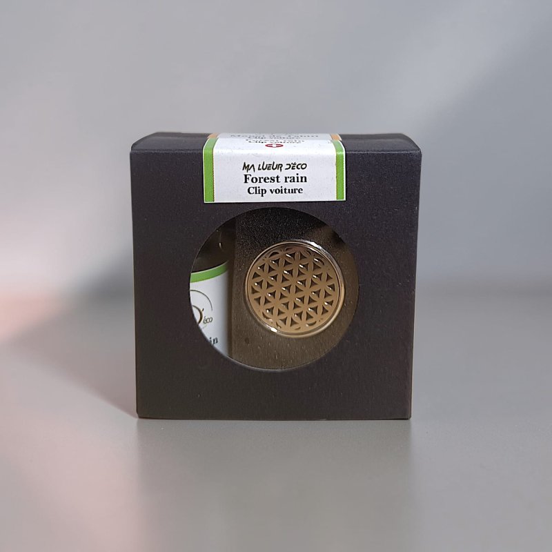 Clip voiture et recharge (PROMO)