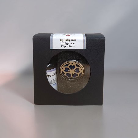 Clip voiture et recharge (PROMO)