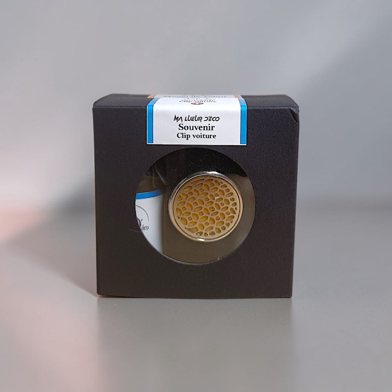 Clip voiture et recharge (PROMO)