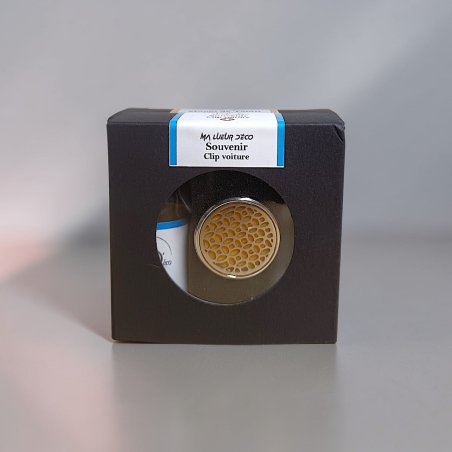 Clip voiture et recharge (PROMO)