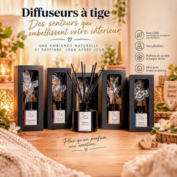 Diffuseur à tige